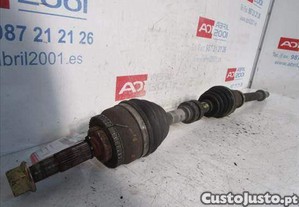 imagem_2