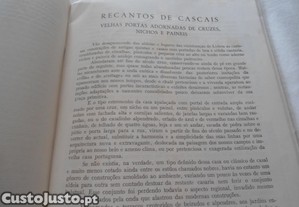 imagem_6