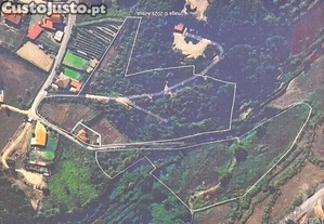 imagem_31