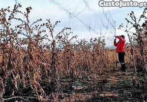 Redes para Proteo de Cultivos Resistentes ( Fio Multifilamento ) Invisveis