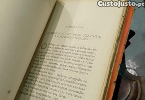 imagem_13