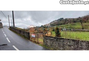 Terreno De Cultivo De Vinha No Construtivo