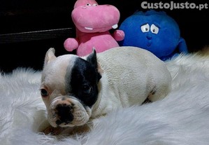 imagem_8