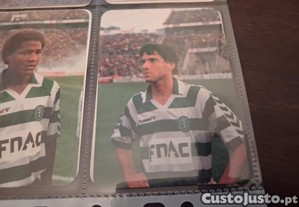 imagem_4