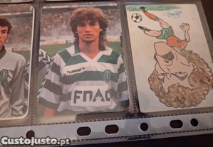imagem_6