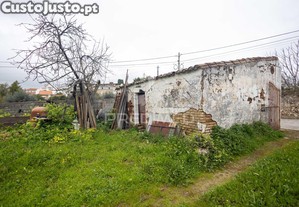 imagem_28