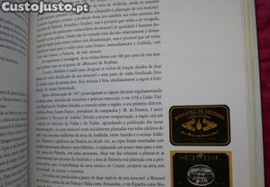 imagem_7