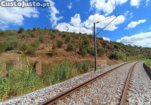 imagem_14