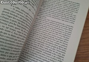 imagem_8