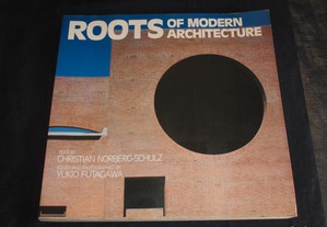 Livro Roots of Modern Architecture