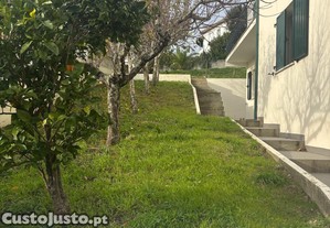 imagem_15