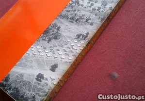 imagem_6