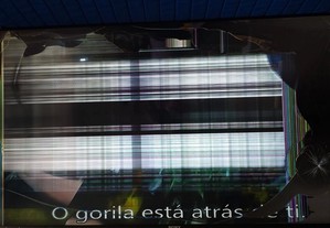 imagem_8