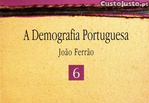 imagem_6