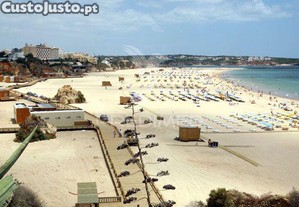imagem_24