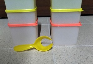 Caixas de congelação Tupperware