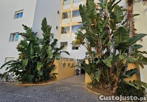imagem_22