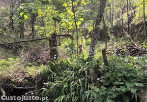 Terreno Rustico Em Vieira Do Minho