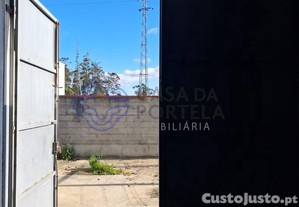 imagem_15