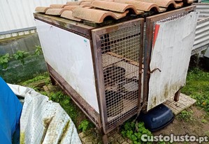 imagem_1