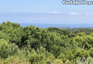 Terreno Agrícola em Sesimbra (Castelo)