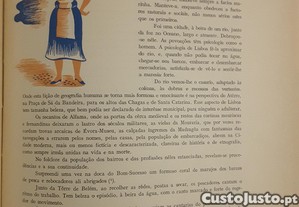 imagem_8
