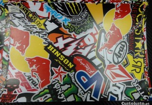 imagem_13