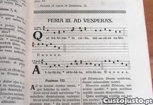 imagem_7