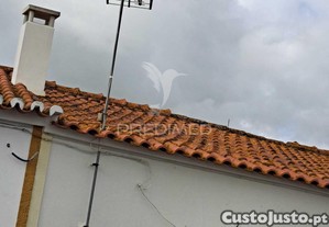imagem_31