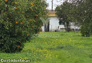 imagem_23