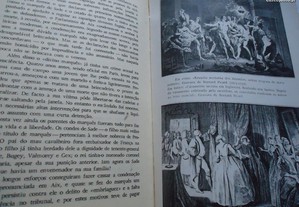 imagem_6