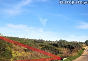 imagem_9