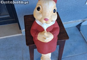 imagem_1