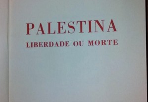 imagem_2