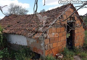 imagem_17