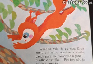 imagem_5