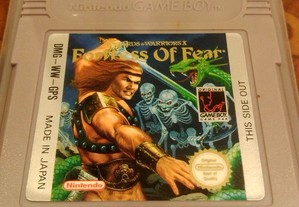 Videojogo, Fortress of Fear, GameBoy Original da Nintendo