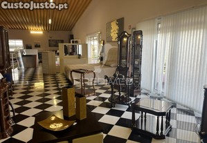 imagem_21