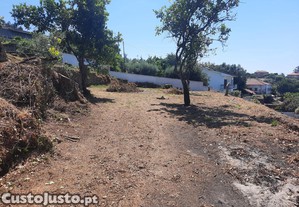 imagem_10