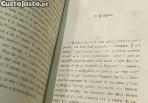 imagem_7