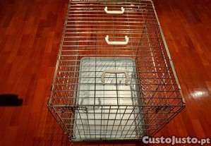 imagem_3