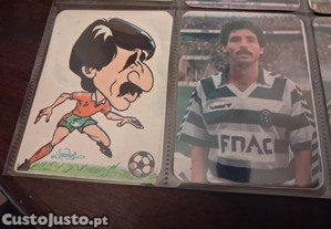imagem_8