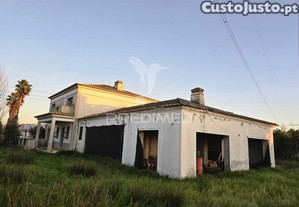 imagem_16