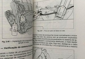 imagem_7