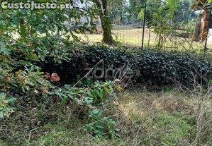 Lote Para Construção Com Vários Arvores De Fruto