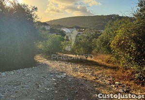 imagem_15