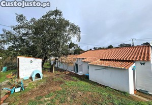 imagem_26