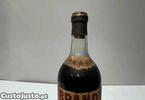 imagem_4