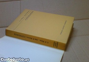 imagem_4