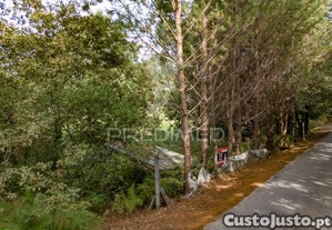 imagem_30